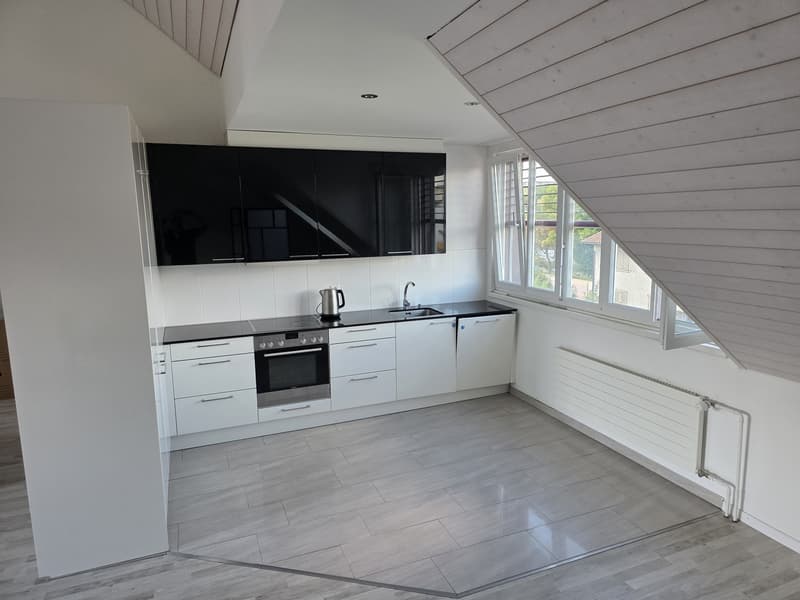 Bright apartment with modern features and scenic green views of Züriberg (9)