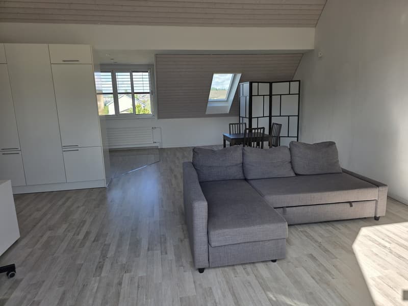 Bright apartment with modern features and scenic green views of Züriberg (3)