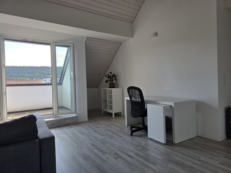 Bright apartment with modern features and scenic green views of Züriberg (7)