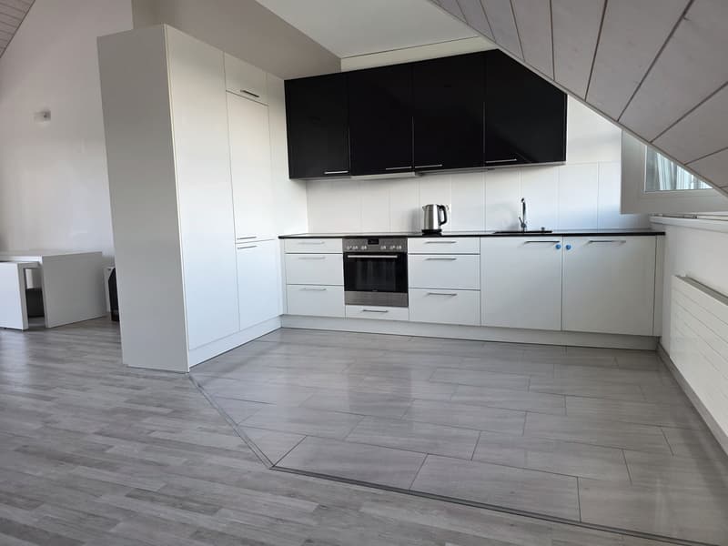 Bright apartment with modern features and scenic green views of Züriberg (8)