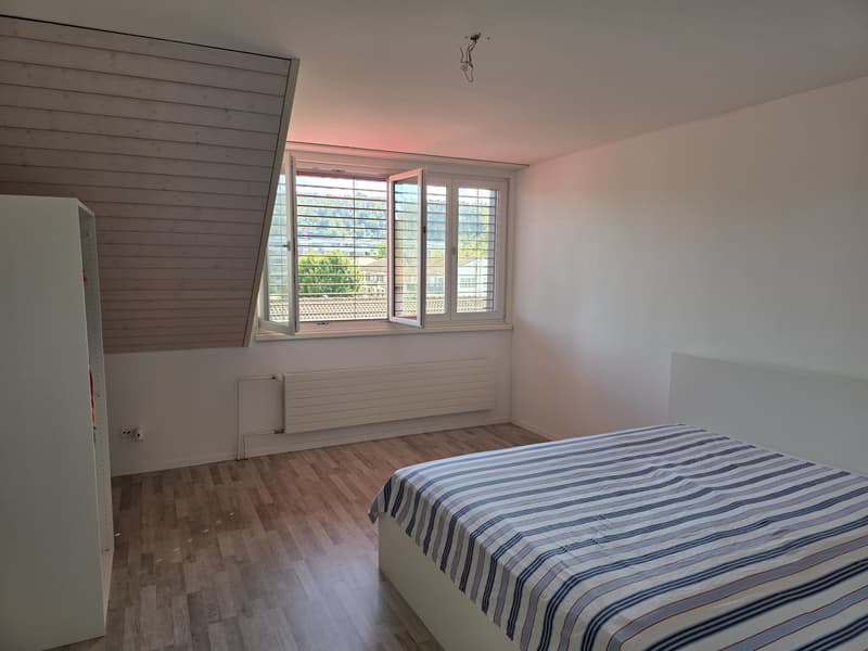 Bright apartment with modern features and scenic green views of Züriberg (11)