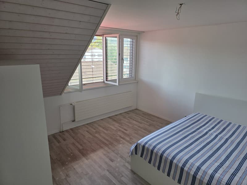 Bright apartment with modern features and scenic green views of Züriberg (13)