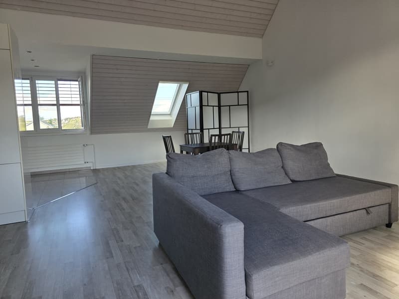 Bright apartment with modern features and scenic green views of Züriberg (4)
