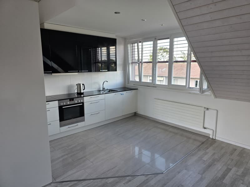 Bright apartment with modern features and scenic green views of Züriberg (10)