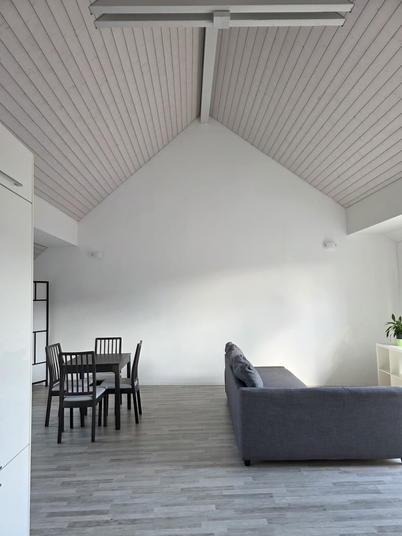 Bright apartment with modern features and scenic green views of Züriberg (6)