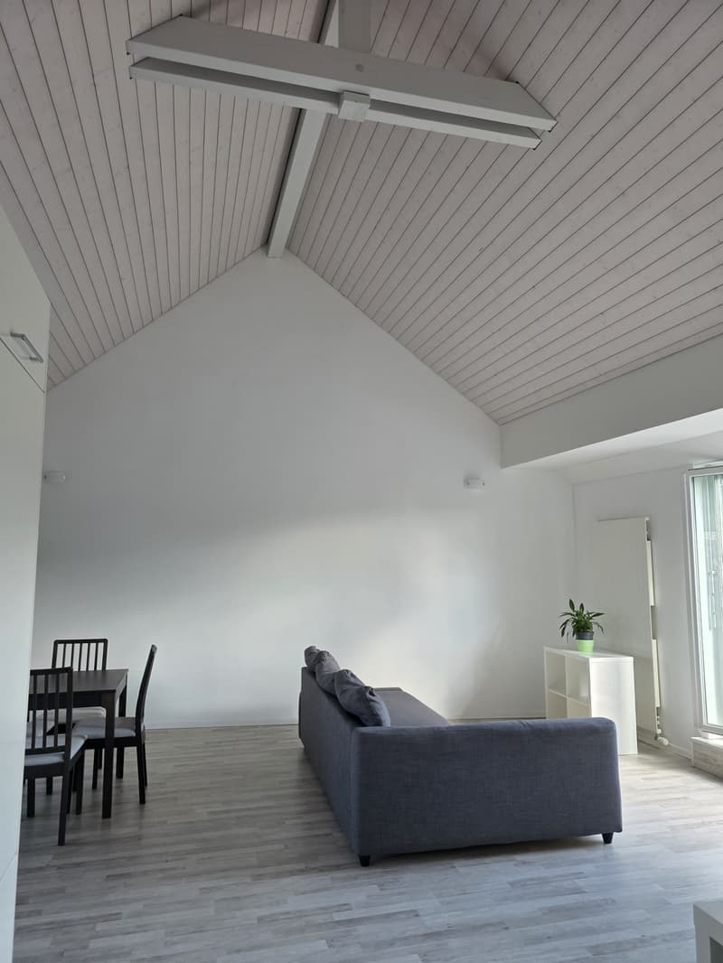 Bright apartment with modern features and scenic green views of Züriberg (5)
