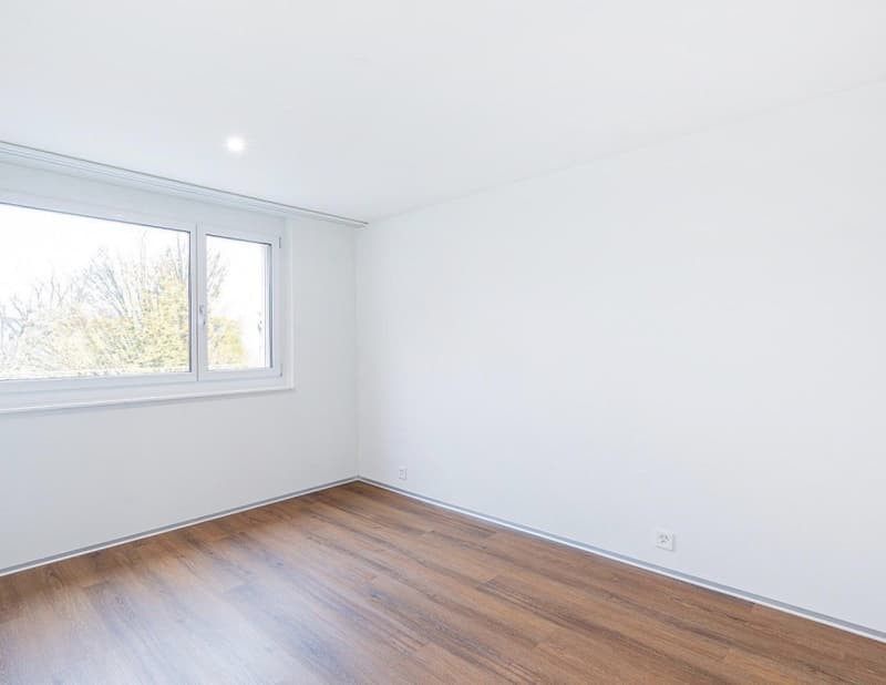2,5 Zimmer Attikawohnung ab 01.10.26 (6)