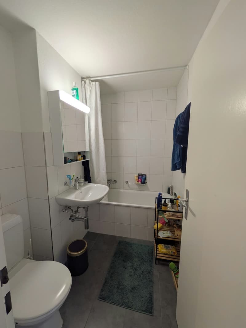 Ruhig wohnen in Ipsach naturnah, seenah & bestens angebunden (8)