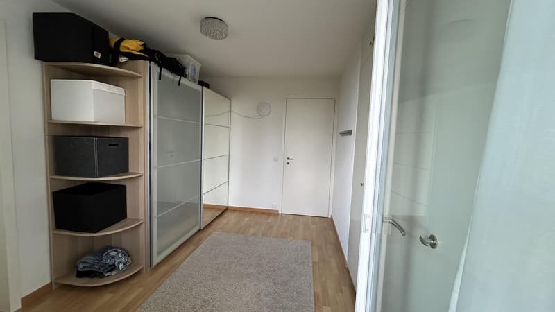 WG-Gspändli gesucht (7)