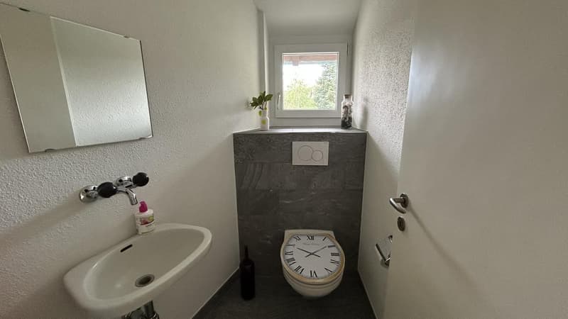 WG-Gspändli gesucht (12)