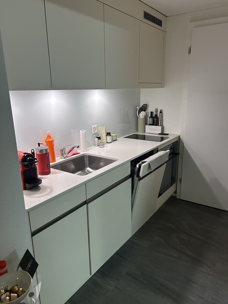 Moderne 2.5 Zi-Whg in Zürich-Oerlikon (7)