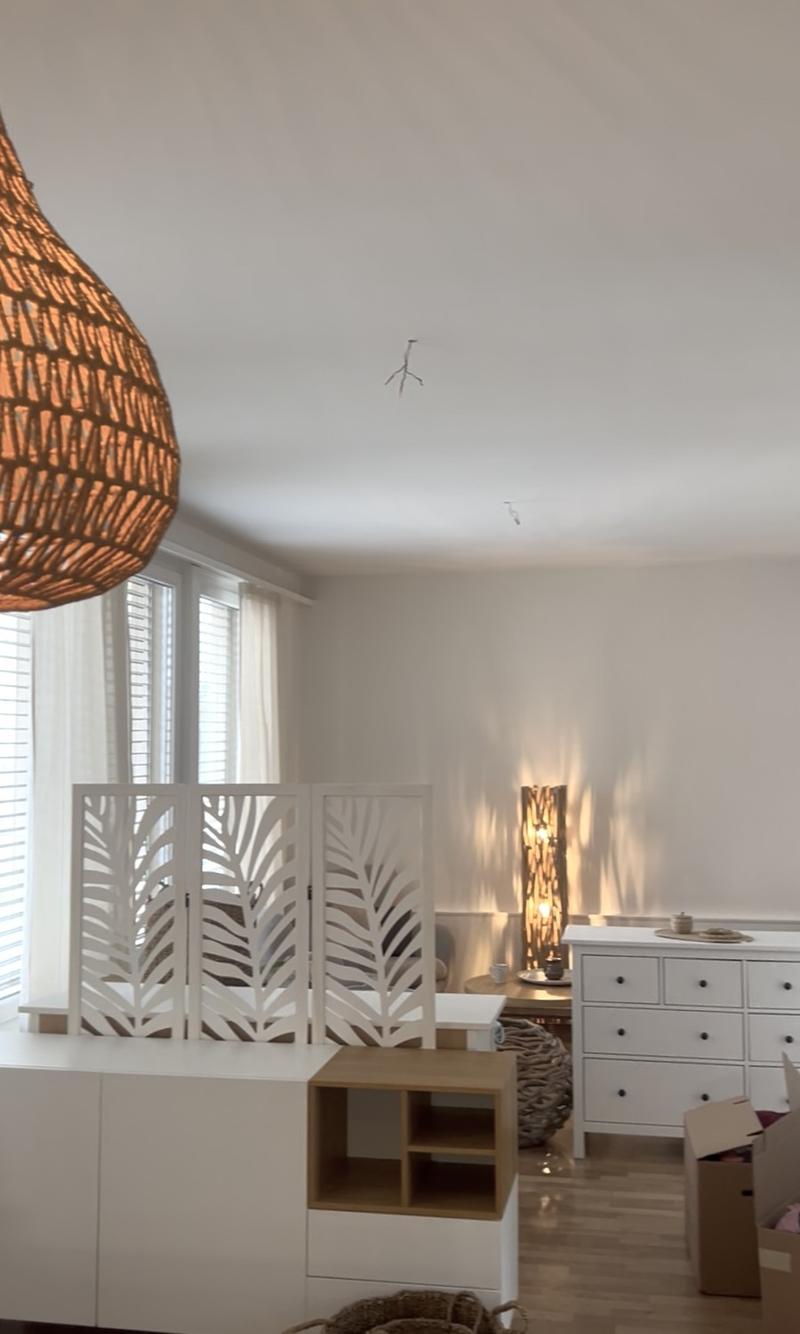 3.5-Zimmer-Anbau (ehem. Saal) mit 3.20 m Deckenhöhe & grossem Bad (2)