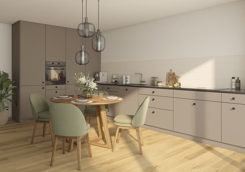 2 ½ Zimmer-Wohnung, 8820 Wädenswil (4)