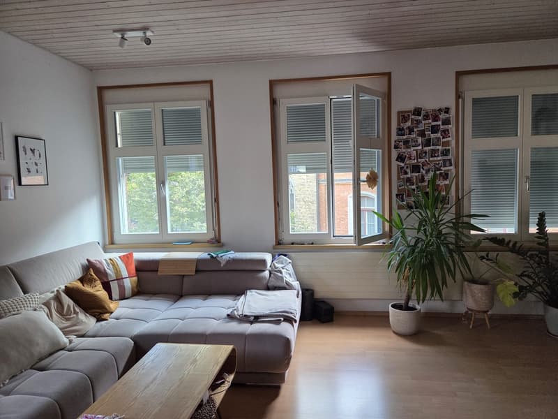Grosszügige Maisonette-Stadtwohnung mit Terrasse (1)