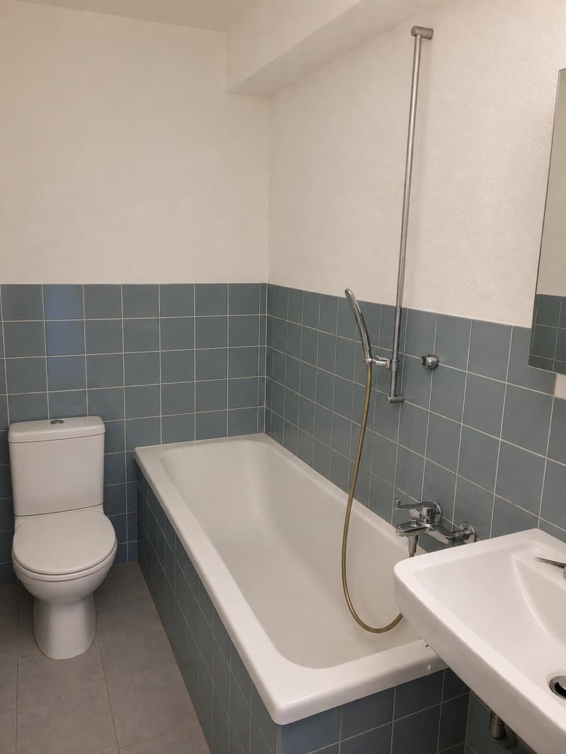 2 Zimmer-Wohnung, 8280 Kreuzlingen (8)