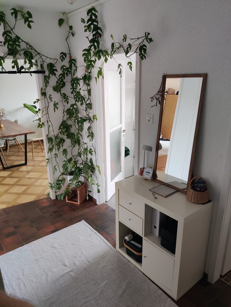 Furnished Sublease, Oerlikon Bahnhof (3)