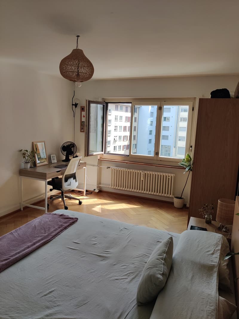 Furnished Sublease, Oerlikon Bahnhof (9)