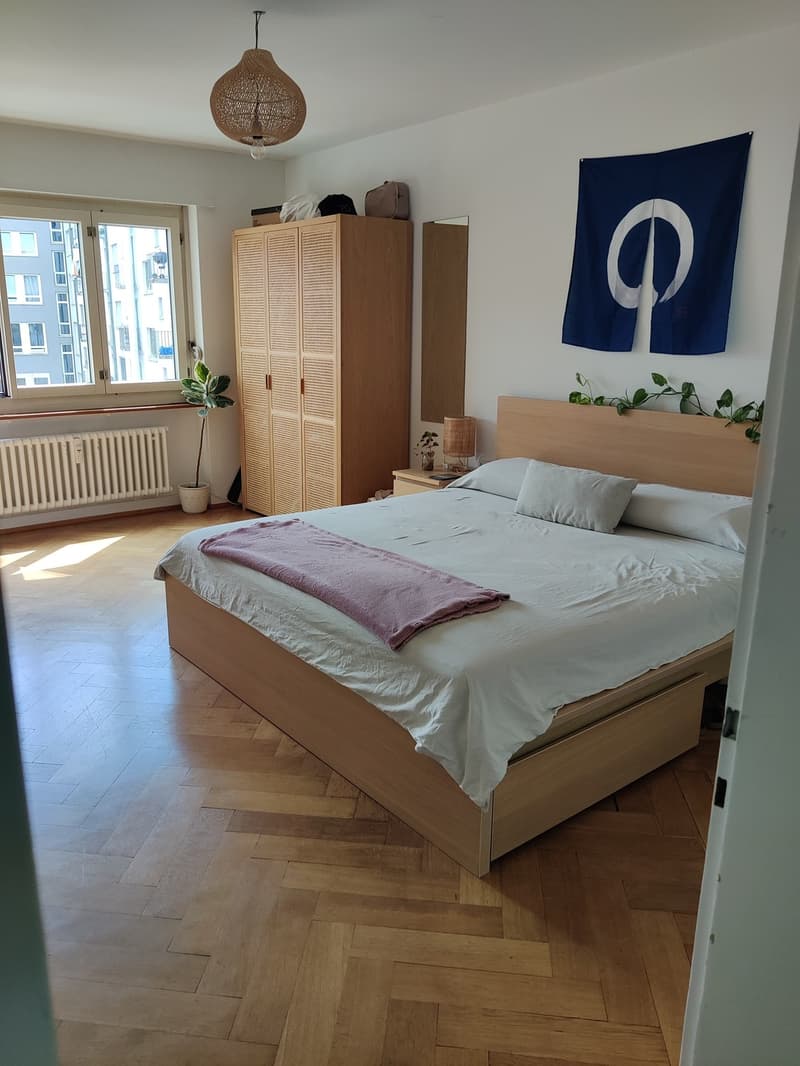 Furnished Sublease, Oerlikon Bahnhof (11)