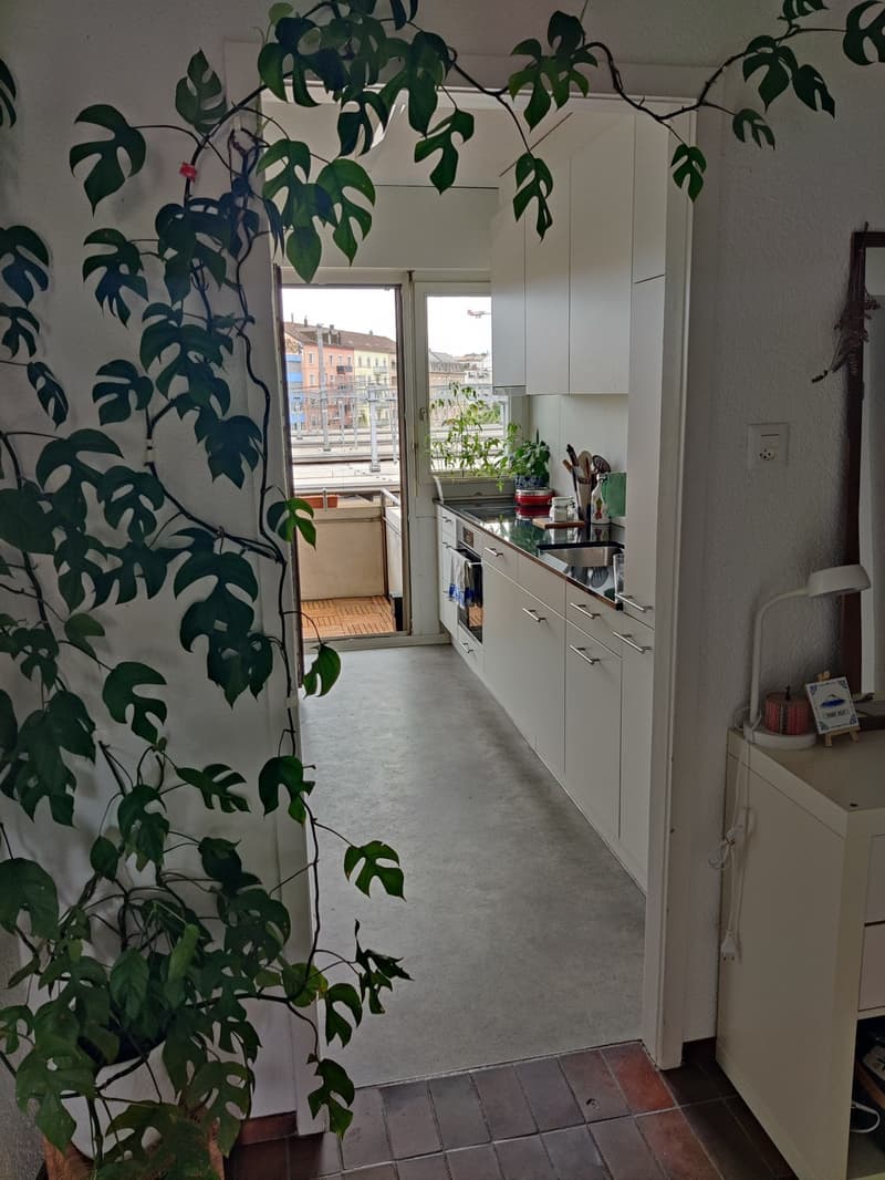 Furnished Sublease, Oerlikon Bahnhof (5)