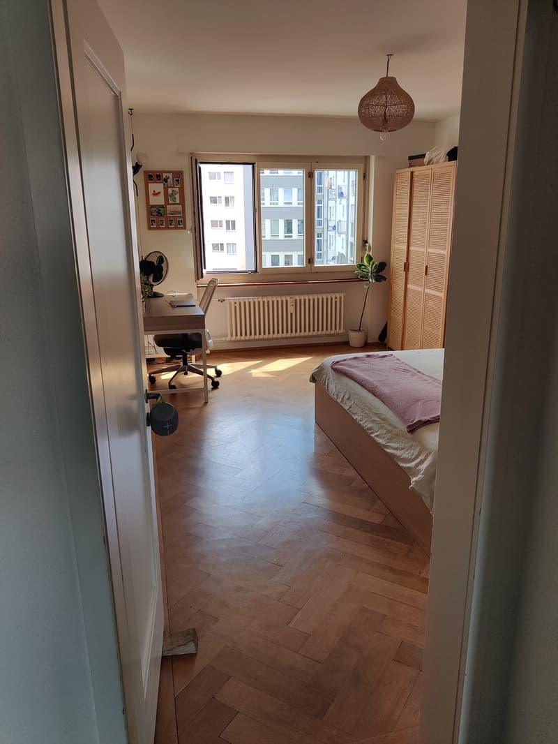 Furnished Sublease, Oerlikon Bahnhof (10)
