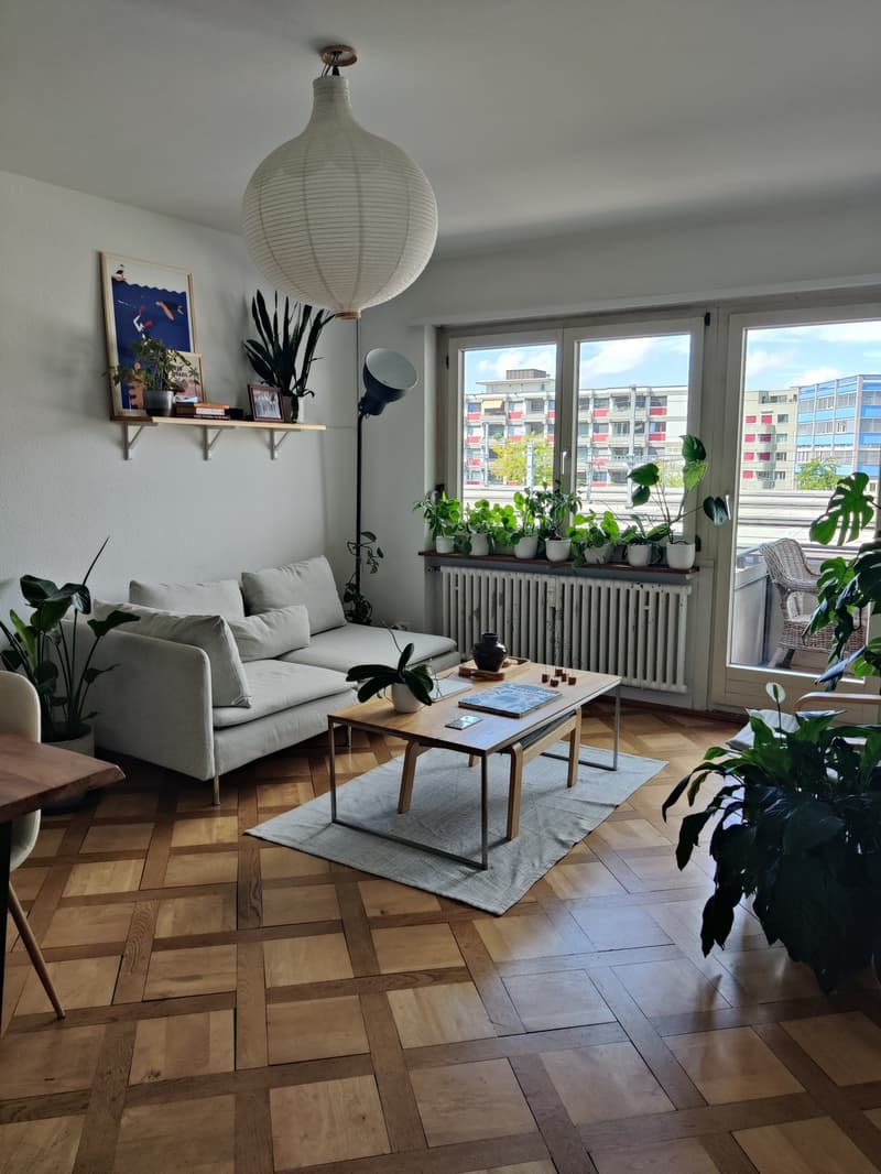 Furnished Sublease, Oerlikon Bahnhof (12)