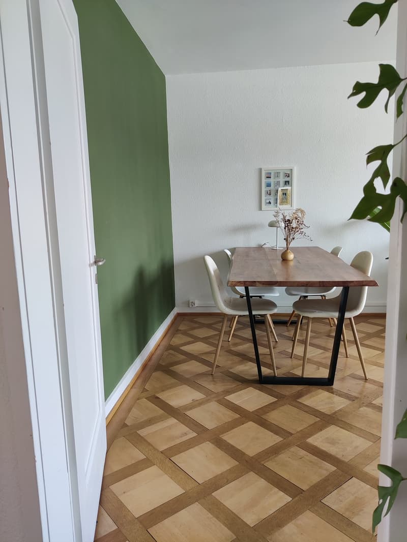 Furnished Sublease, Oerlikon Bahnhof (8)
