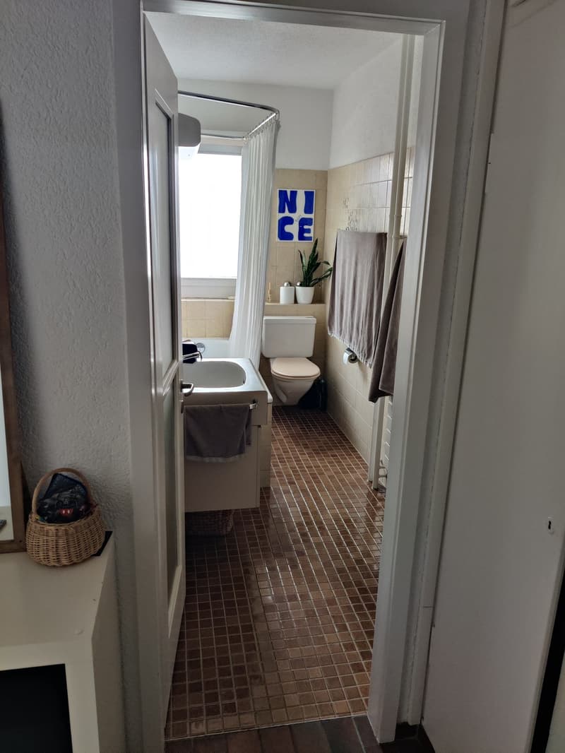 Furnished Sublease, Oerlikon Bahnhof (7)