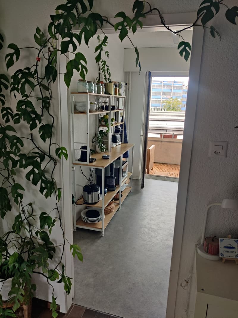Furnished Sublease, Oerlikon Bahnhof (6)