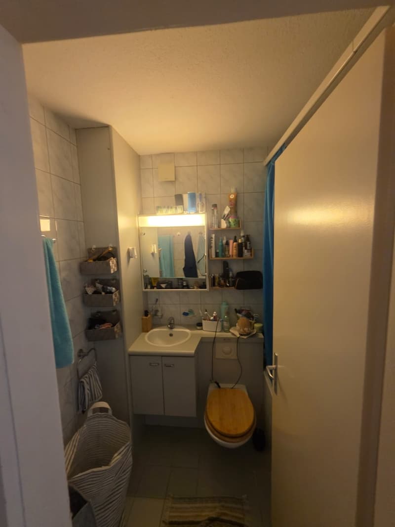 2-Zimmer-Wohnung in Zofingen 50 m², Erdgeschoss, Balkon (4)
