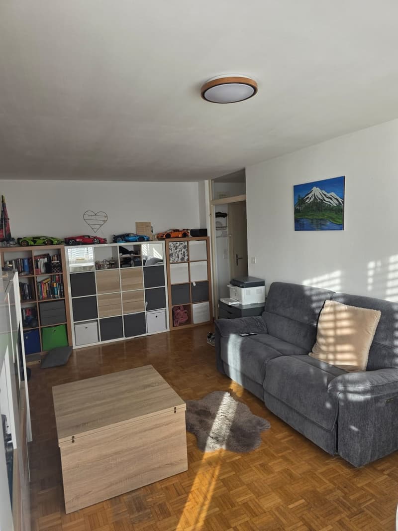 2-Zimmer-Wohnung in Zofingen 50 m², Erdgeschoss, Balkon (1)