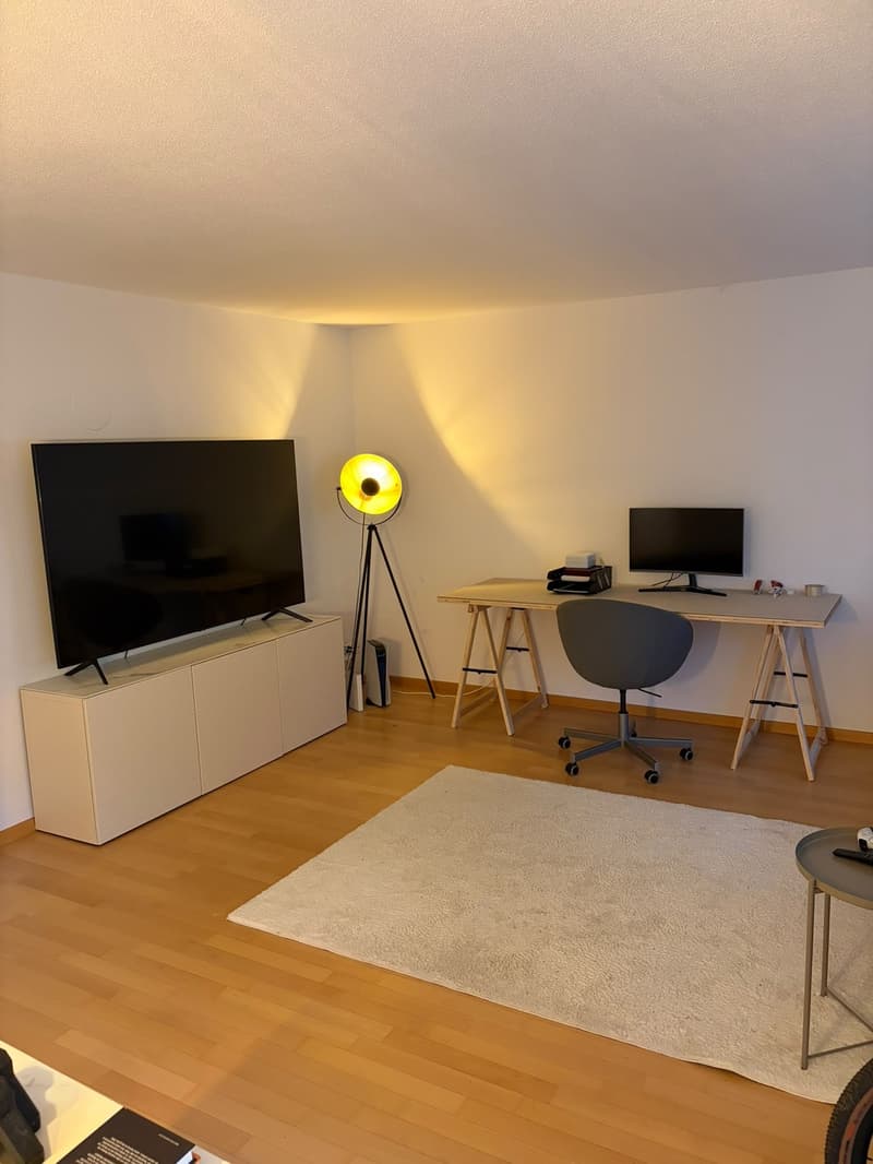 Nachmieter gesucht, helle, grosszügige 3.5 Zi. Whg. (3)