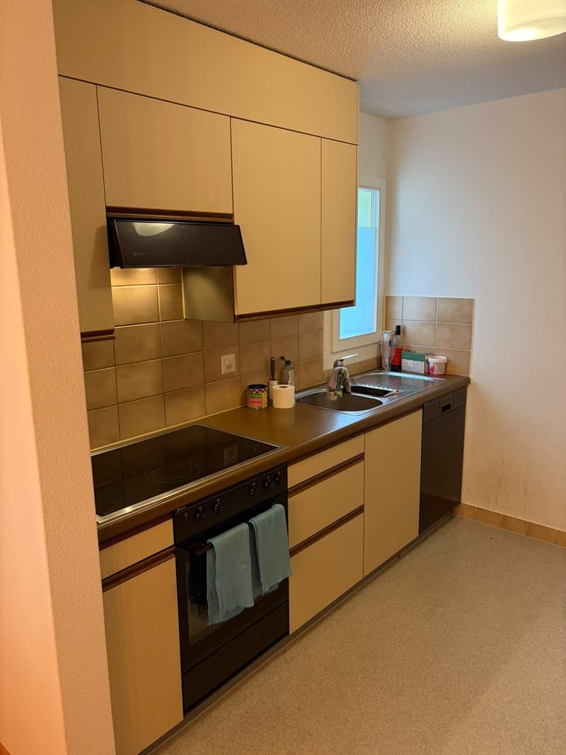 Nachmieter gesucht, helle, grosszügige 3.5 Zi. Whg. (4)