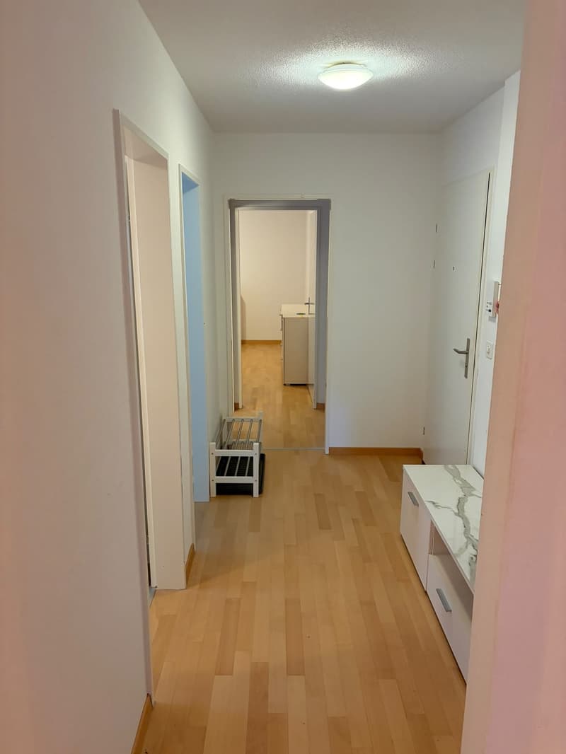 Nachmieter gesucht, helle, grosszügige 3.5 Zi. Whg. (10)