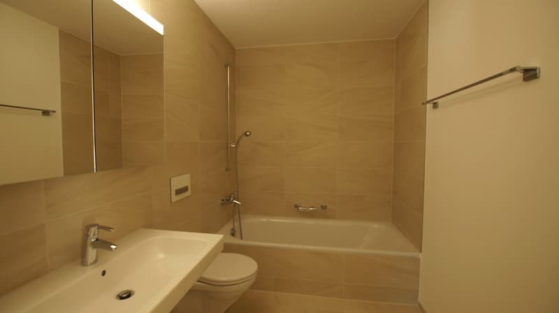 Wunderschöne 3.5 Zi. Terrassen-Wohnung in Stäfa (3)