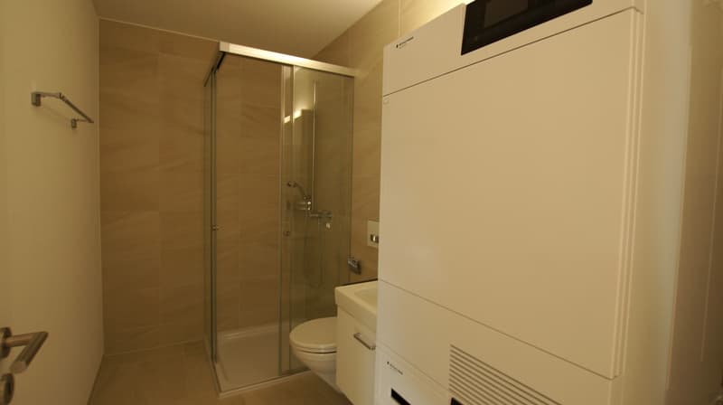Wunderschöne 3.5 Zi. Terrassen-Wohnung in Stäfa (1)