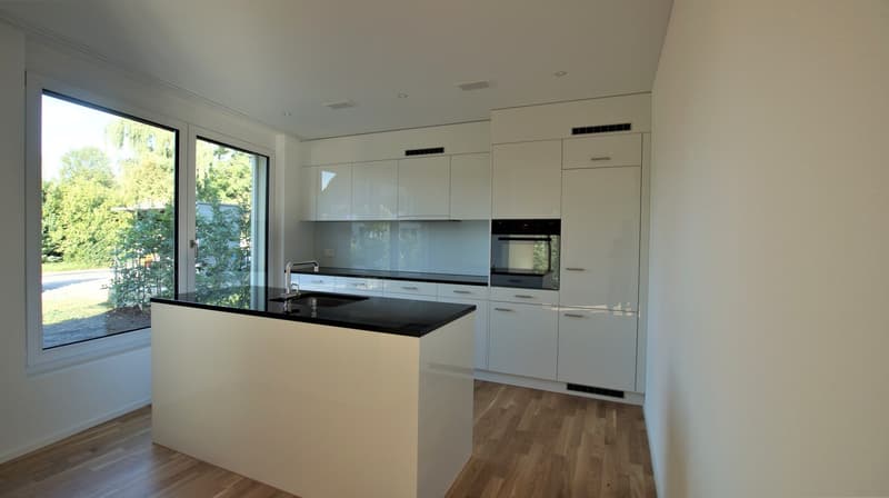 Wunderschöne 3.5 Zi. Terrassen-Wohnung in Stäfa (2)