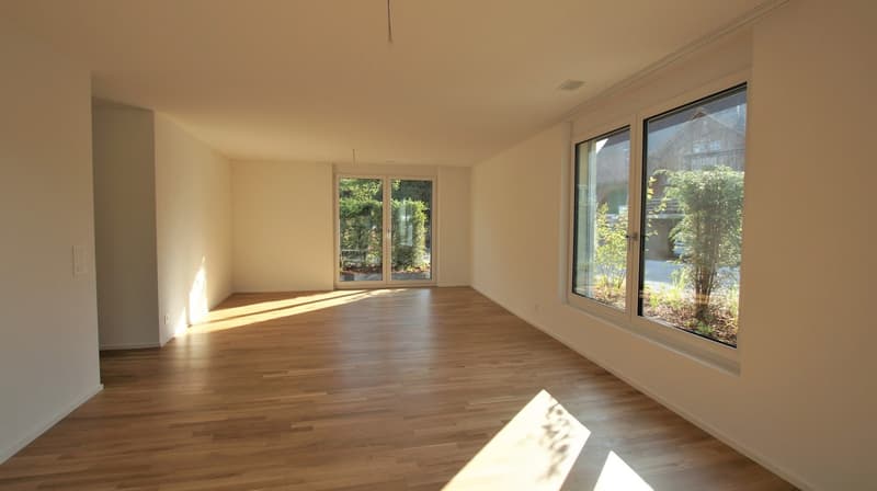 Wunderschöne 3.5 Zi. Terrassen-Wohnung in Stäfa (4)