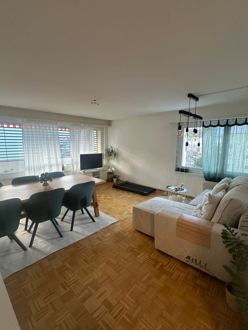 3 ½ Zimmer-Wohnung, 8640 Rapperswil (4)