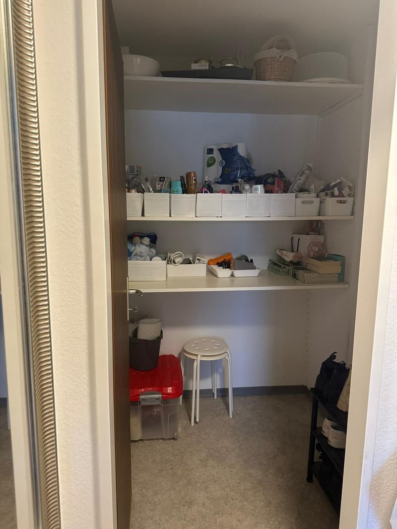 3 ½ Zimmer-Wohnung, 8640 Rapperswil (9)