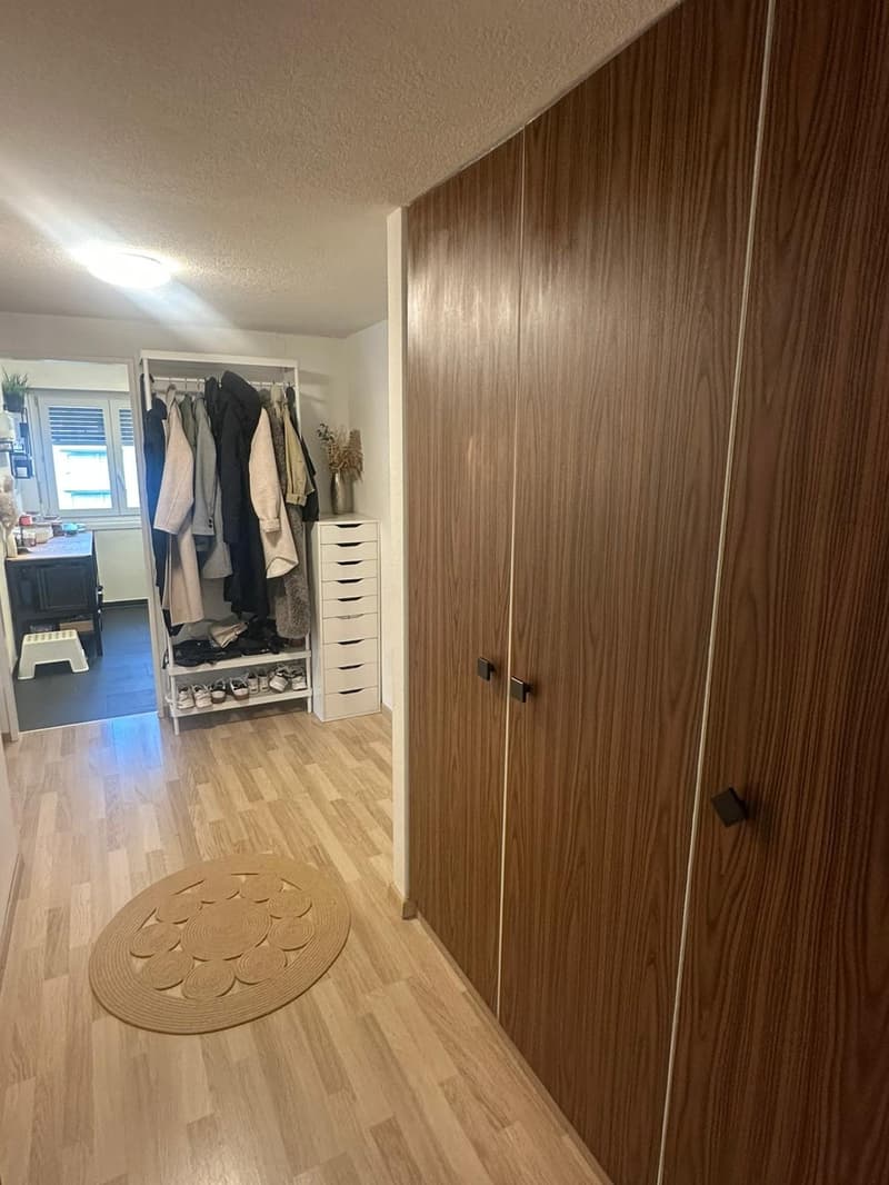 3 ½ Zimmer-Wohnung, 8640 Rapperswil (10)