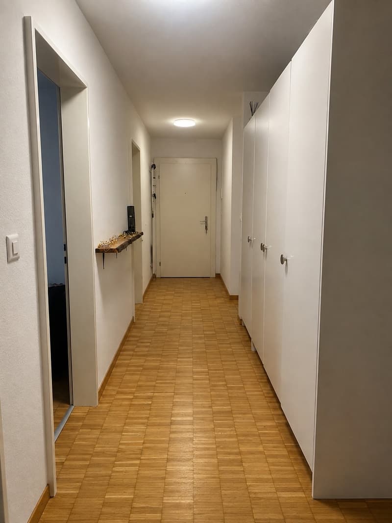 Nachmieter gesucht  grosszügige 5.5-Zimmer-Wohnung in Volketswil (7)