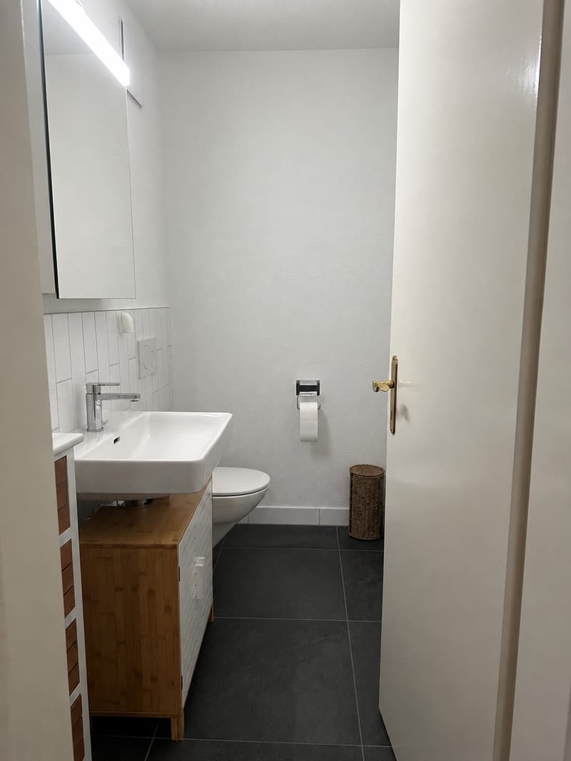 Nachmieter gesucht  grosszügige 5.5-Zimmer-Wohnung in Volketswil (12)