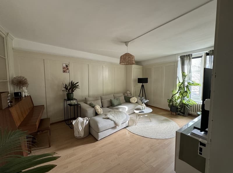 3.5-Zimmer-Wohnung in Schaffhausen (1)