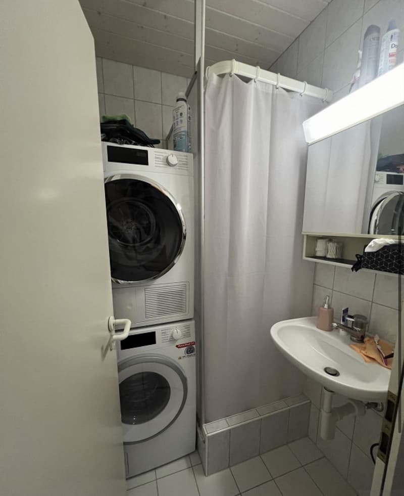 3.5-Zimmer-Wohnung in Schaffhausen (5)