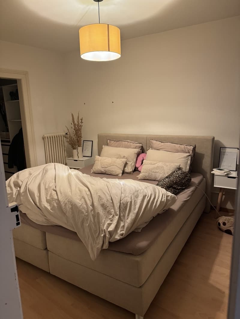 3.5-Zimmer-Wohnung in Schaffhausen (3)