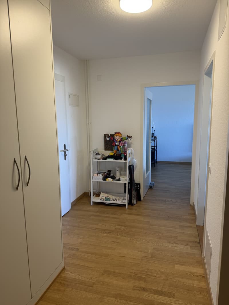 Bell appartement sur gland vue lac (5)