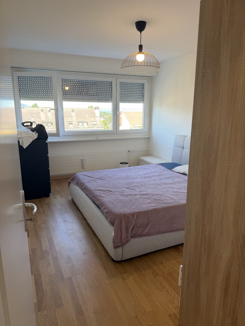 Bell appartement sur gland vue lac (6)