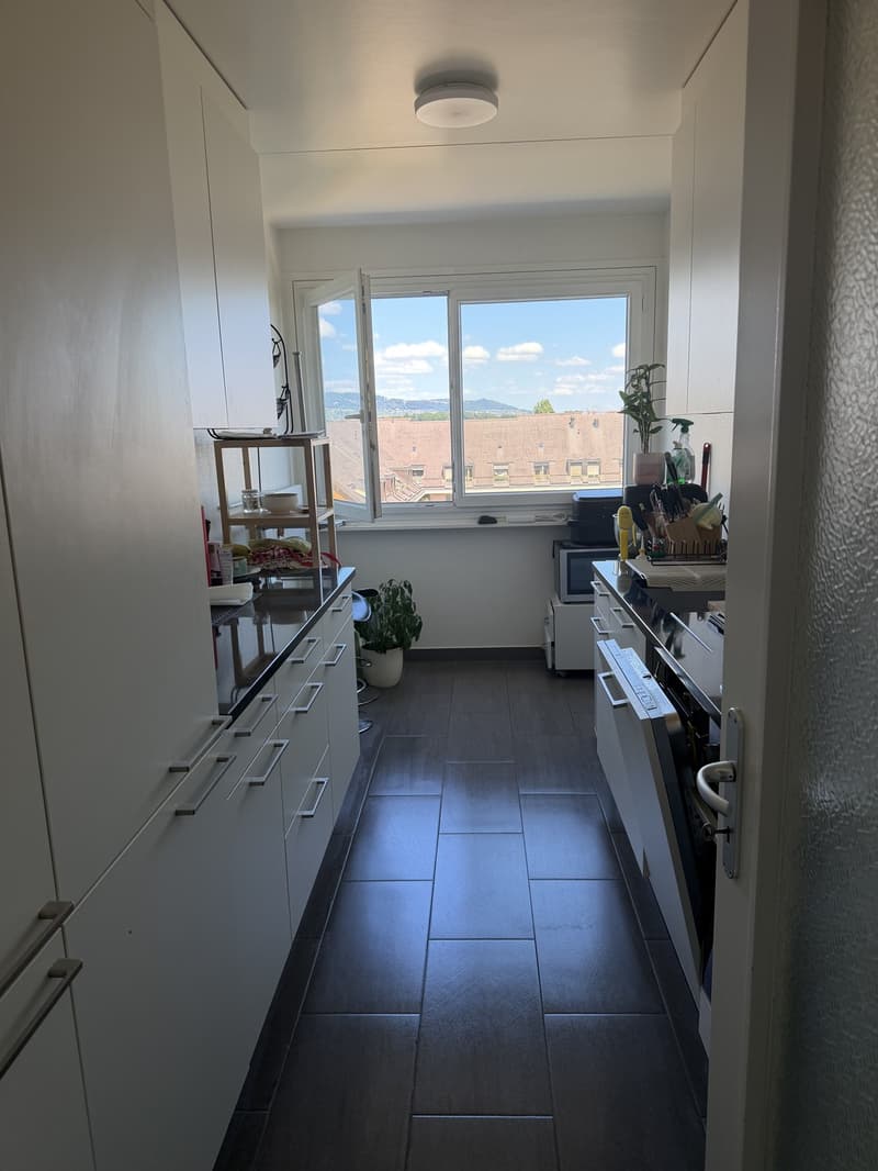 Bell appartement sur gland vue lac (7)