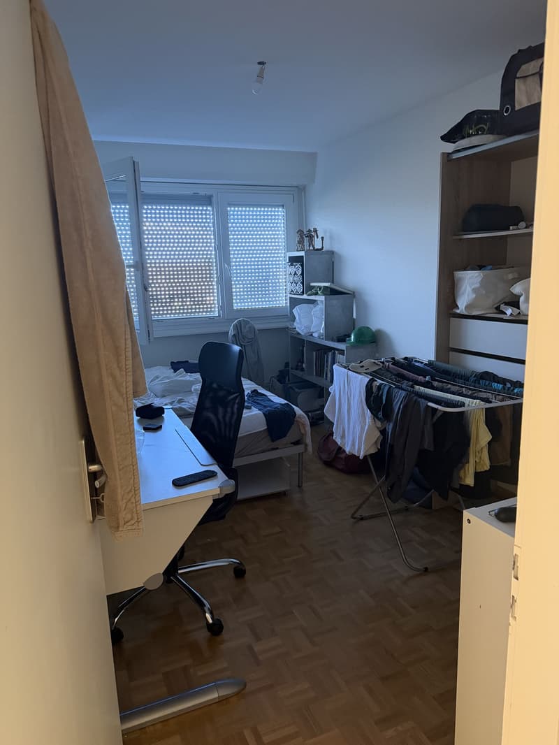 Bell appartement sur gland vue lac (9)
