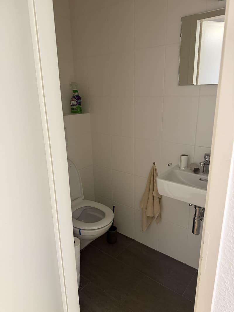 Bell appartement sur gland vue lac (3)